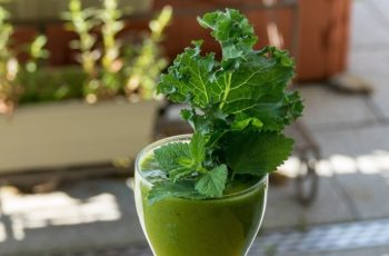 What is Benefits of Juicing Kale? Good Tips in 2021