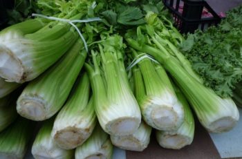 How Much is a Stalk of Celery? Good Tips and Guides in 2021